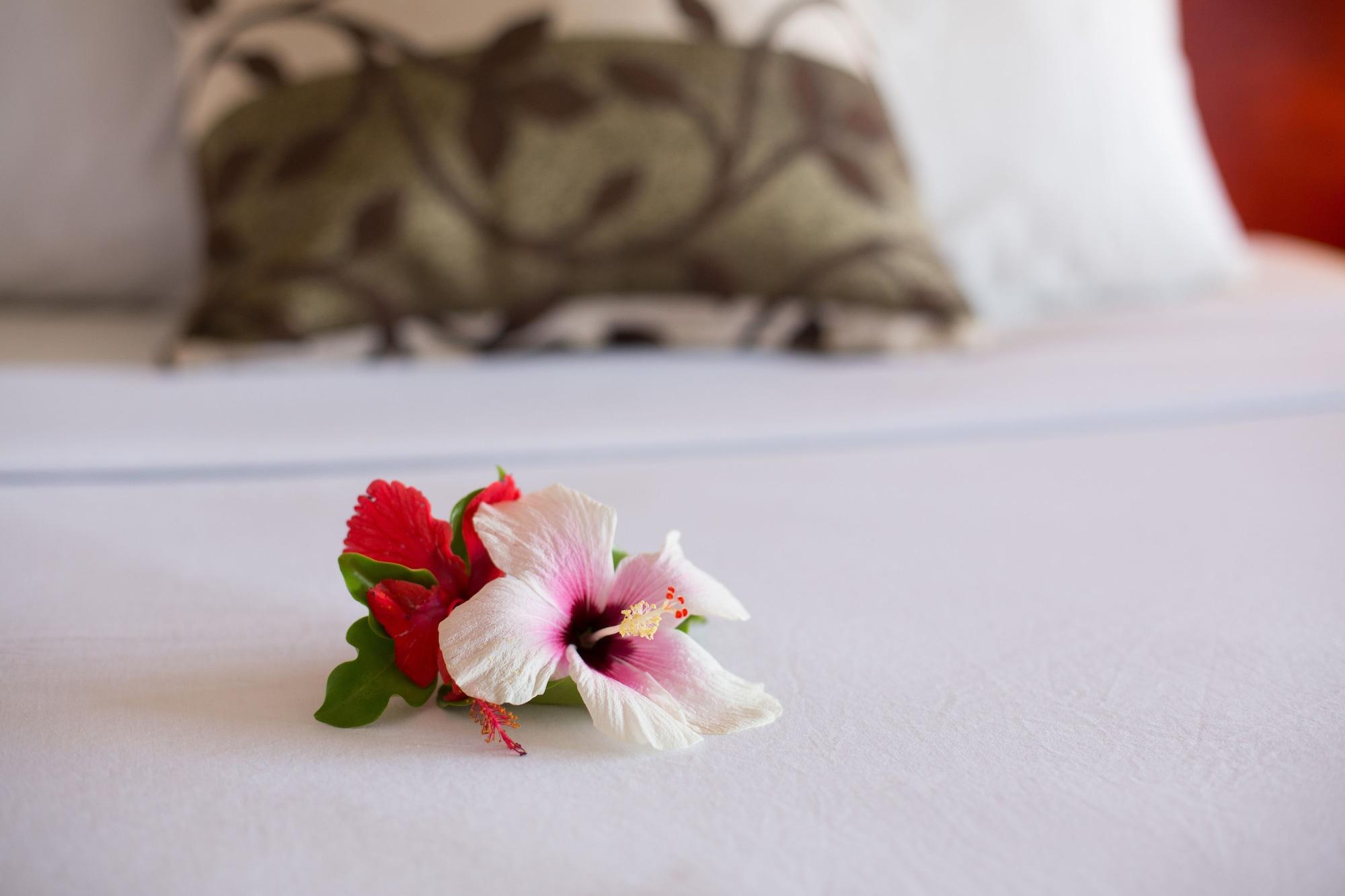Anchorage Beach Resort Viseisei Zewnętrze zdjęcie