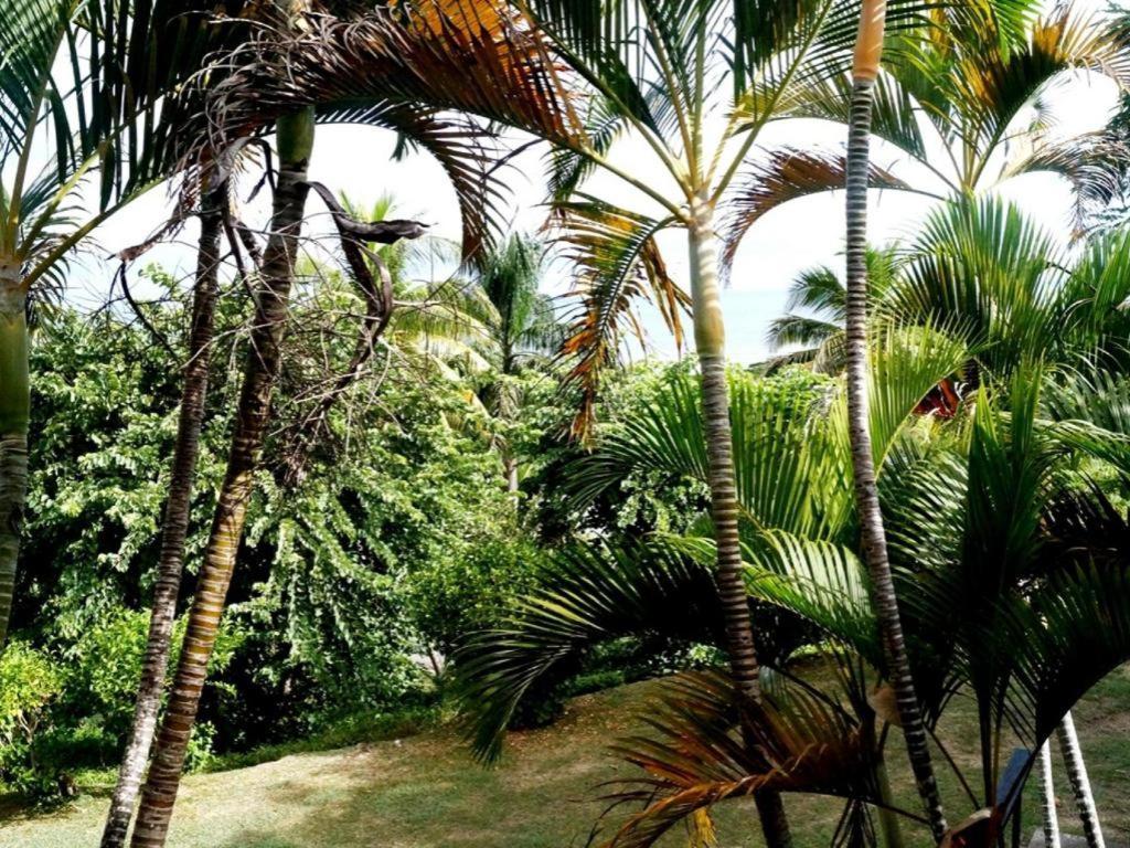 Anchorage Beach Resort Viseisei Zewnętrze zdjęcie